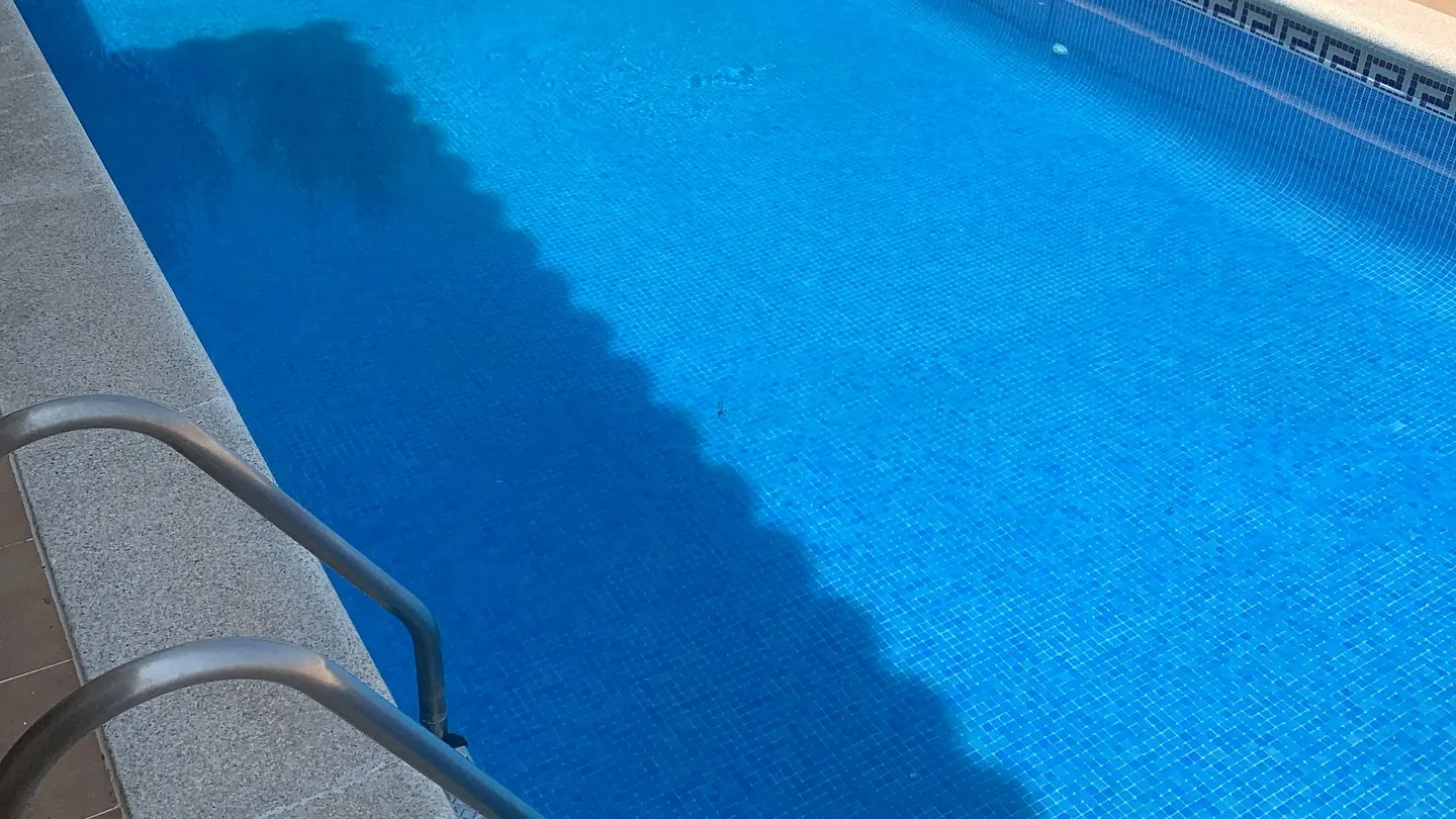 Pool with a steel ladder